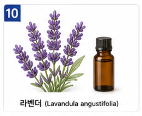 향기치유 이미지 10