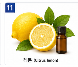 향기치유 이미지 11