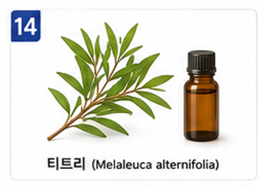 향기치유 이미지 14